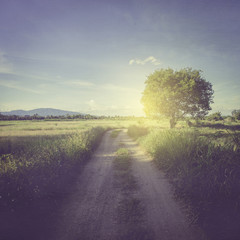 Fototapeta na wymiar Vintage photo of road in countryside and field with sunlight.