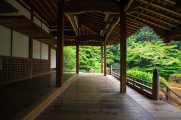 京都　随心院