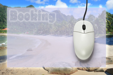 Computer mouse