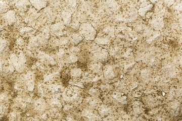 Dry soil