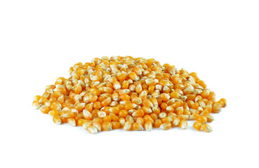 Dried corn on white background