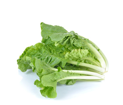 Fresh  lettuce isolated on white background