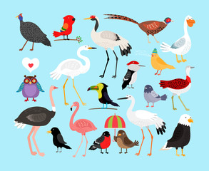 Cute vector birds