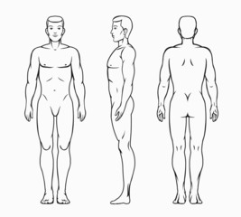 Male body vector illustration