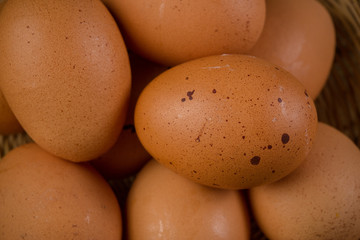 Eggs