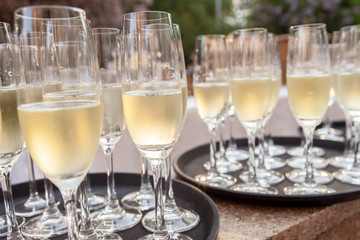 champagne glasses
