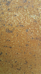 Perched on a rusty steel plate.