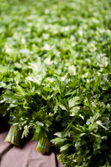 Obraz premium parsley