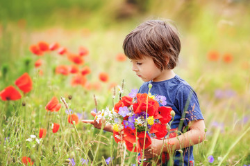 Cute kid boy with poppy flowers and other wild flowers in poppy
