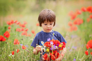 Cute kid boy with poppy flowers and other wild flowers in poppy