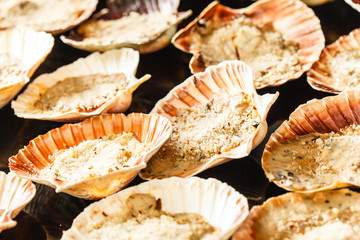 Scallops in the shell