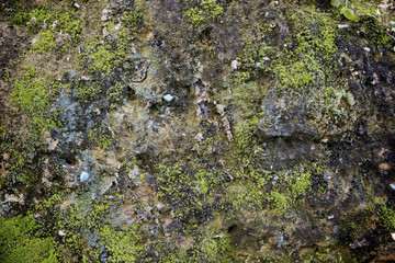Wall background