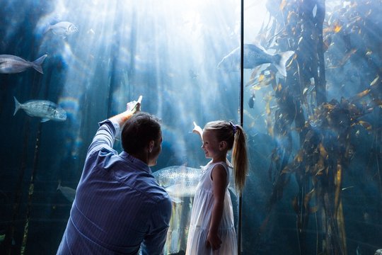 Father and daughter pointing a fish in the tank 