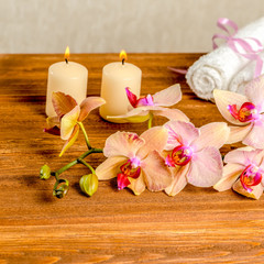 beautiful spa concept of blooming twig orchid flower, phalaenops