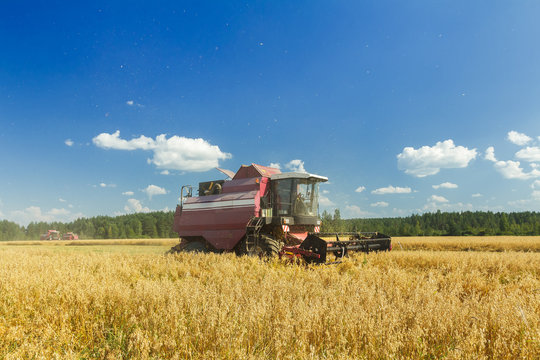 Modern combine harvester working on oats farm field under blue sky in hot summer day