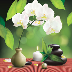 Obraz na płótnie Canvas Spa Composition With Orchid 