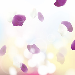 Spa Background with Petals