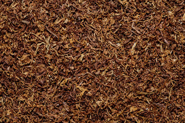 Fototapeta premium tobacco texture background