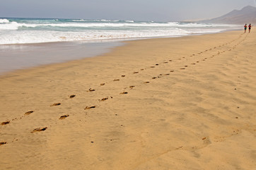 Beach in summer in Spain