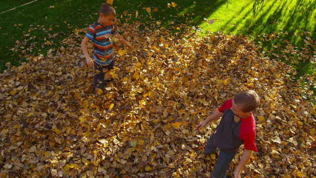 Overhead shot of children playing in fall leaves. 