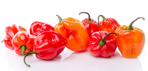 Fresh habanero peppers - obrazy, fototapety, plakaty