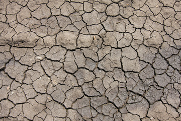 Dry soil