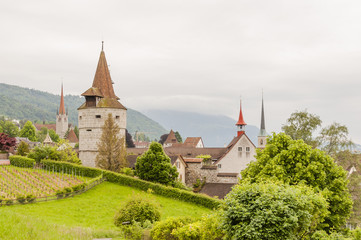 Stadt Zug, Stadt, Altstadt, Altstadthäuser, Zuger Altstadt, Kapuzinerturm, Türme, Sankt Oswald Kirche, Kirche, Weinberg, Aussichtsberg, Frühling, Sommer, Schweiz