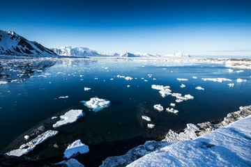 Arctic spring in south Spitsbergen © KrisGrabiec