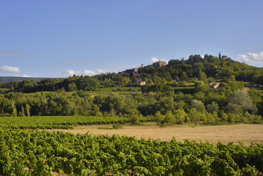 Les vignobles au pied du village m&eacute;di&eacute;val de Goult (84220) perch&eacute; sur sa colline, d&eacute;partement du Vaucluse en r&eacute;gion Provence-Alpes-C&ocirc;te d'Azur, France