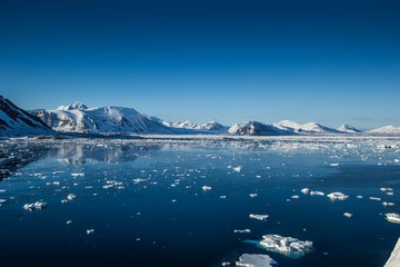Arctic spring in south Spitsbergen © KrisGrabiec