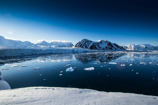 Arctic spring in south Spitsbergen