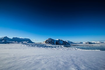 Arctic spring in south Spitsbergen © KrisGrabiec