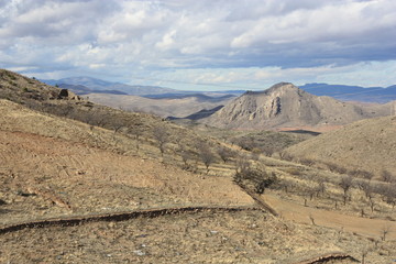 Campos sembrados y frutales en Aluenda. Zaragoza