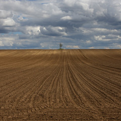 Plowed soil