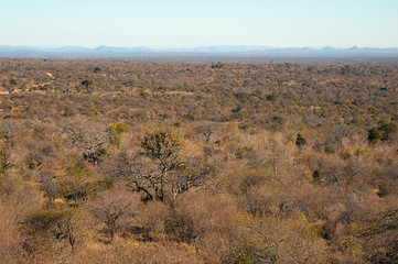 Landscape of South Africa