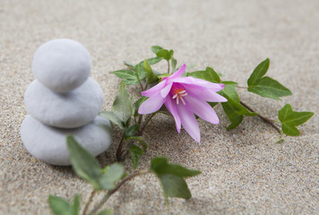 cailloux zen empilés méditation