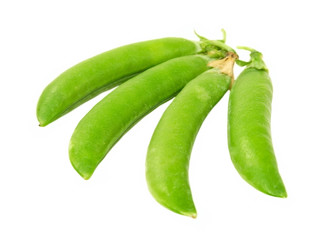Four peas pods.Isolated.