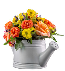 Vivid colored flowers, orange roses, watering can