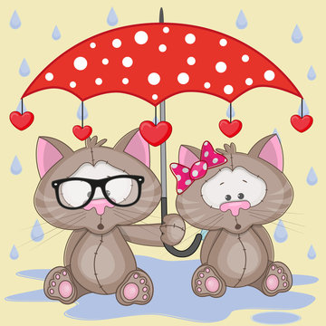 Two Cats with umbrella