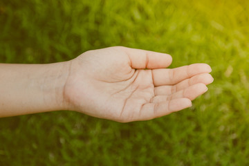Woman hand on green grass ( Filtered image processed vintage eff