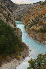 Río Ara, Pirineos. Huesca