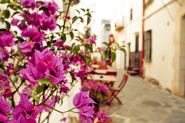 charming street in Cadaques, Costa Brava, Spain