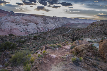 Descent towards the Halls Creek Brimhall Natural Bridge Trail Ca