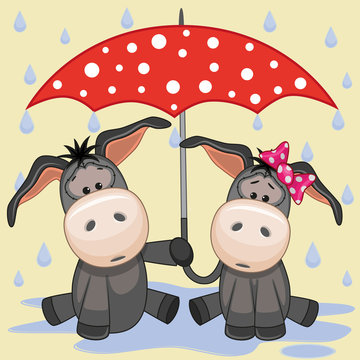 Two Donkeys with umbrella