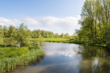 Meandering creek in a rural landscape in springtime