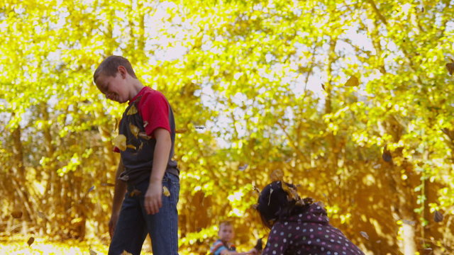 Children playing in fall leaves