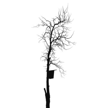 recommend clip art: Silhouette old dry tree with starling house