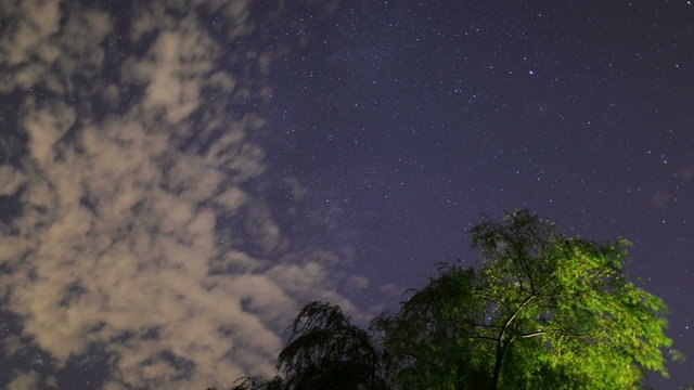 Time lapse shot of stars and clouds moving over tree