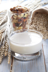 Healthy food - bowl of milk, oatmeal and delicacies
