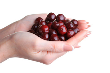 Cherry in hands isolated